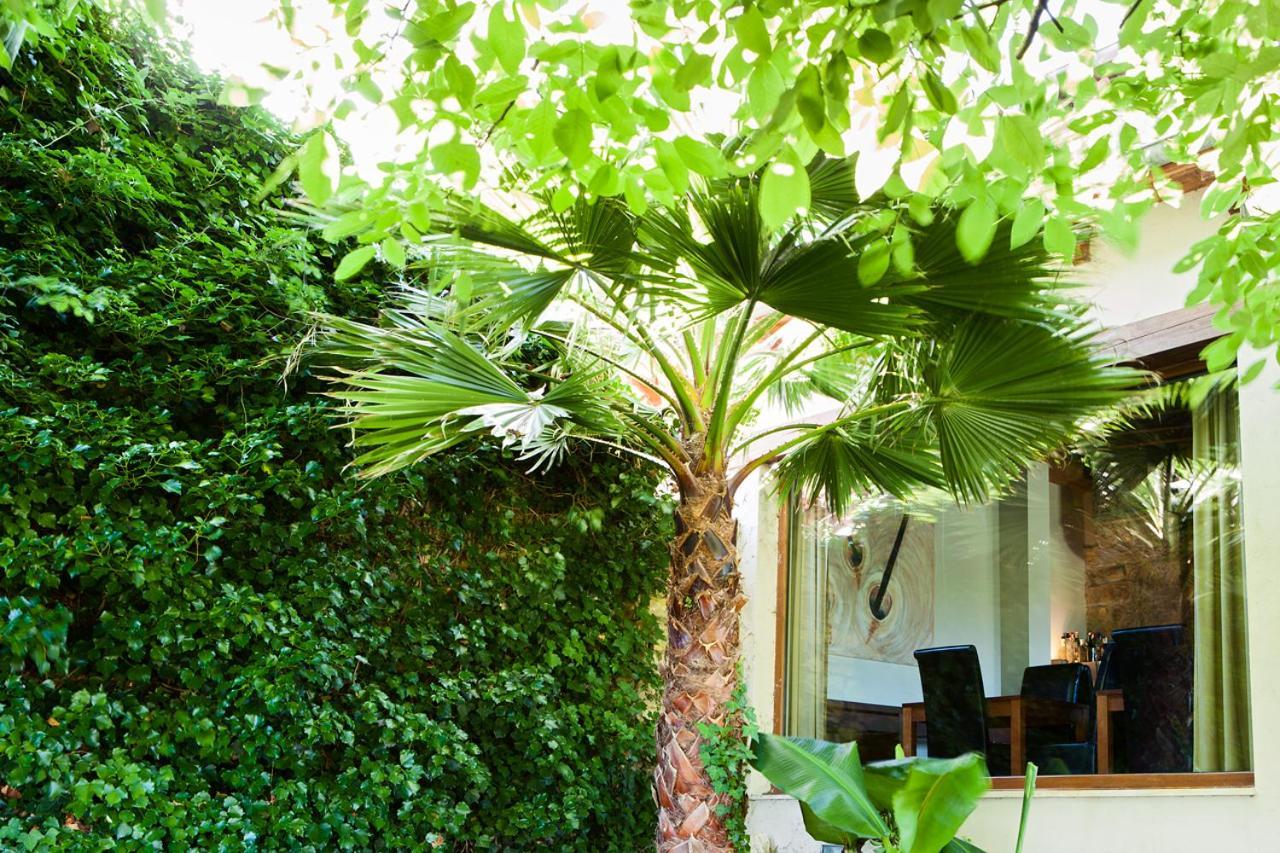 Sotobosque Otel Mortera Dış mekan fotoğraf
